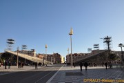 dsc_0807.jpg