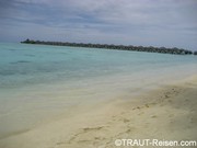 img_0201.jpg