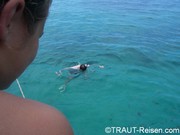bild 130.jpg