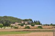 DSC_0273.jpg