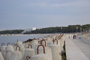 DSC_0211.JPG